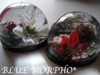 bluemorpho.goods.2011.11.25.3