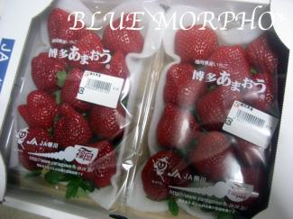 bluemorpho.sweets.2011.12.11.2