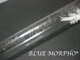bluemorpho.goods.2011.12.21.2