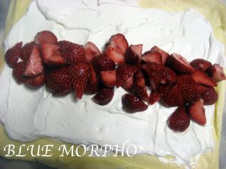 bluemorpho.sweets.2011.12.24.3
