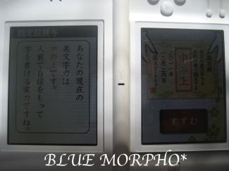bluemorpho.2011.12.27.4