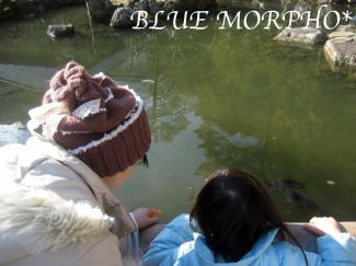 bluemorpho.2012.1.3