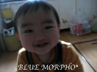 bluemorpho.2012.1.30.4