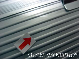 bluemorpho.2012.2.24.2